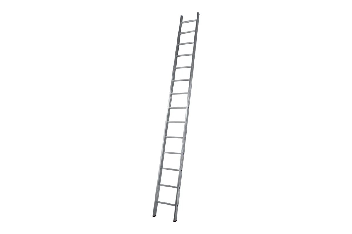 51162454