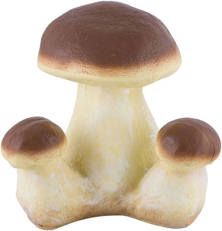 грибы