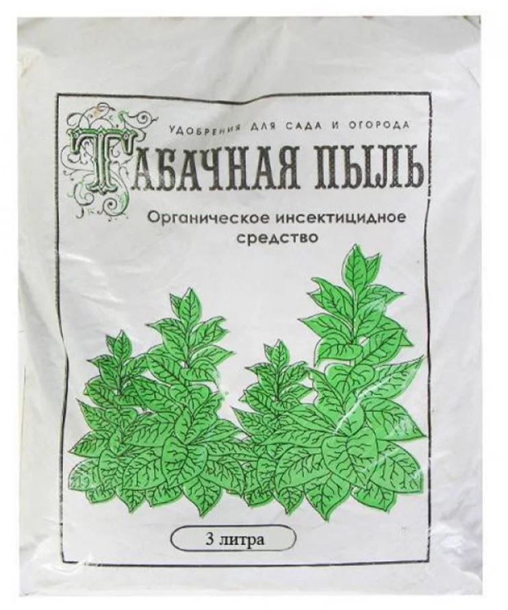 пыль2