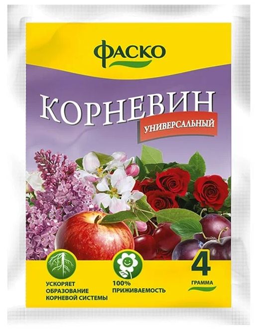 корневин2