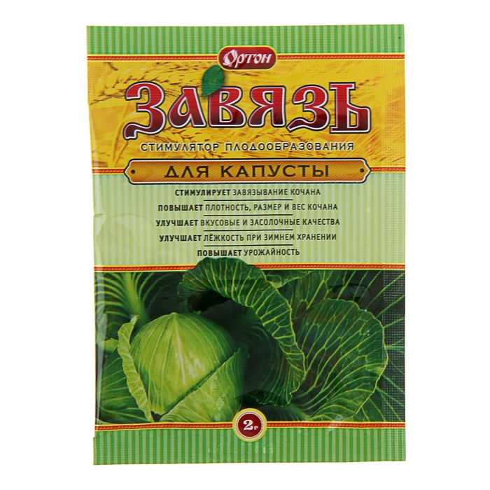 завязь