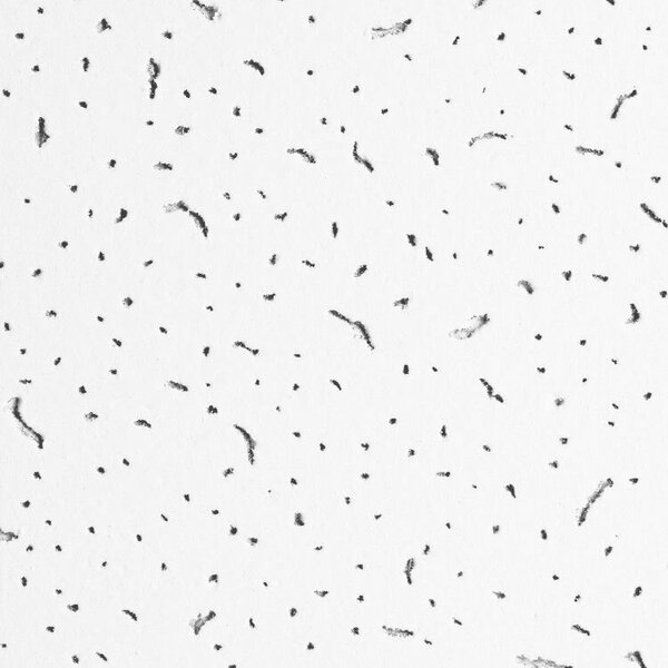 600x800 (1)