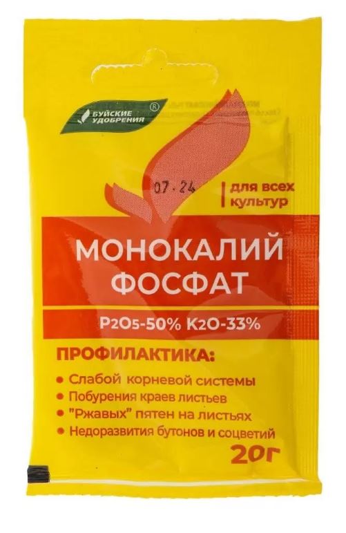 буй2