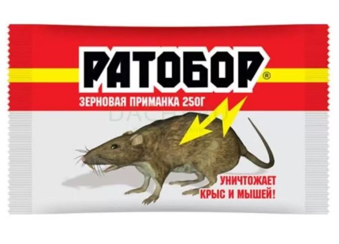 мышь2