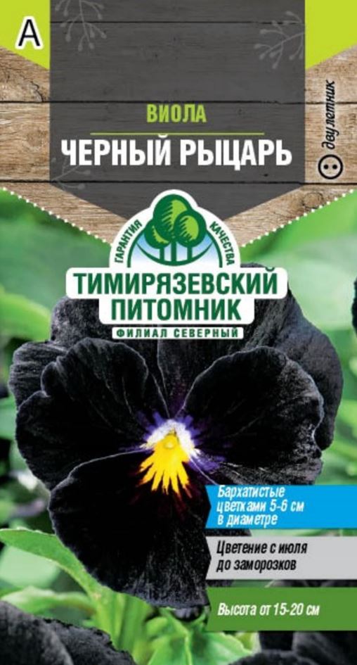 виола2