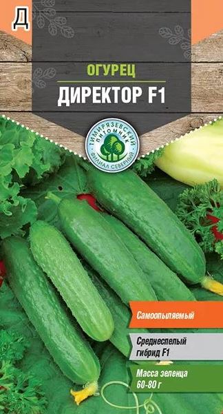 директор2