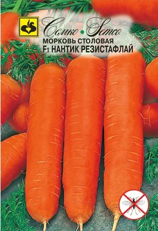 Снимок