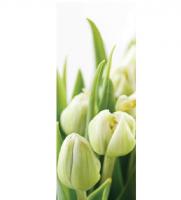 На фото изображено Белые тюльпаны 11-0160-FG Фотообои  DECOCODE  (1.00*2.8) (1) 11-0160-FG*** АКЦИЯ