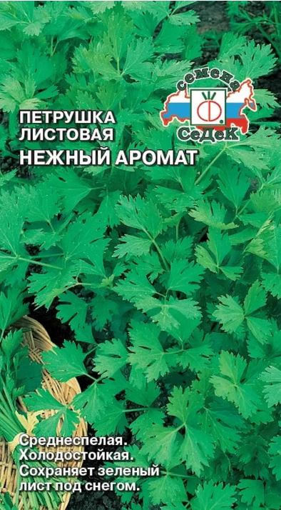 Снимок