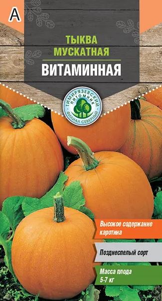 тыква2