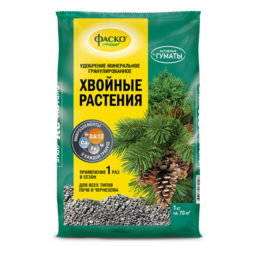 фаско