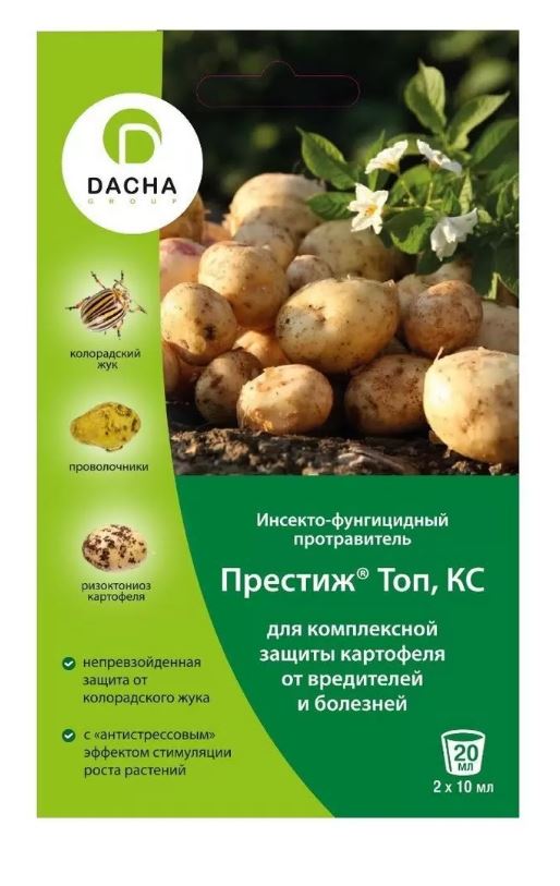 от жука2