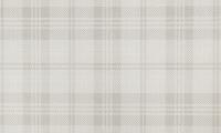 На фото изображено 589736 Ateliero Scotland Обои виниловые на флиз основе горячего тиснения 1,06х10 м
