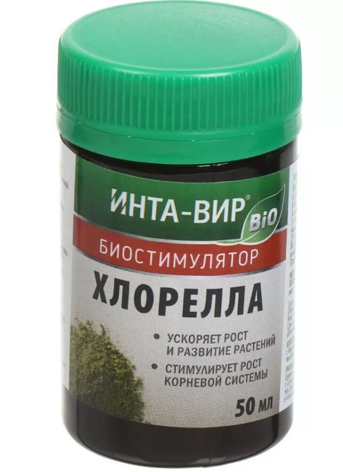 х2