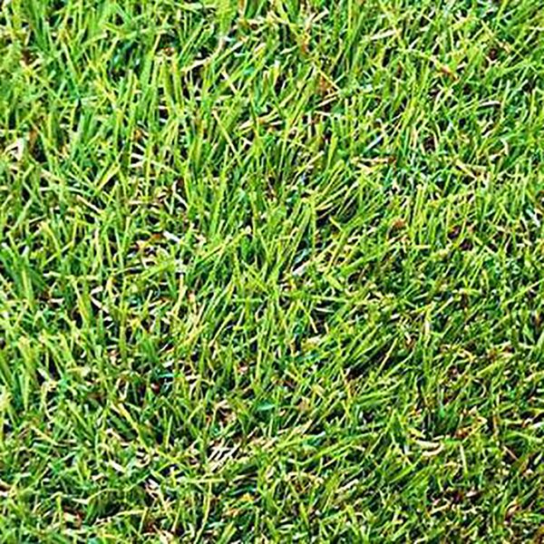 iskusstvennaya-trava-grass-mix