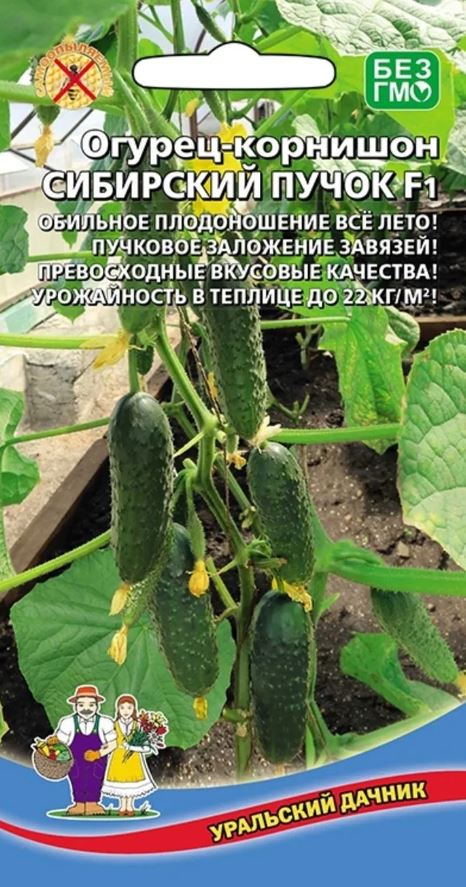 Снимок
