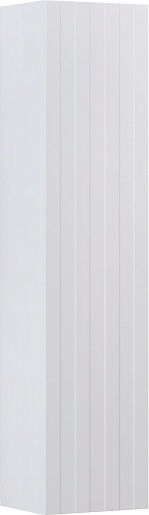 thumb.pp-fin-40-1-staryy-razmer.jpg.rf