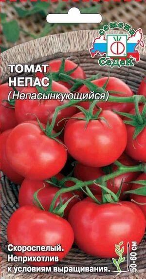 tomat-nepas-nepasynkuyushchijsya-sedek