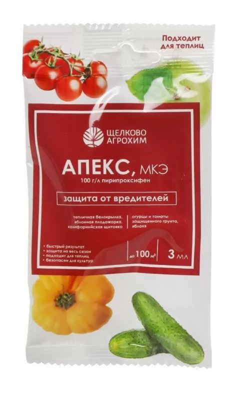апекс2