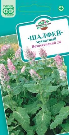 шалфей2