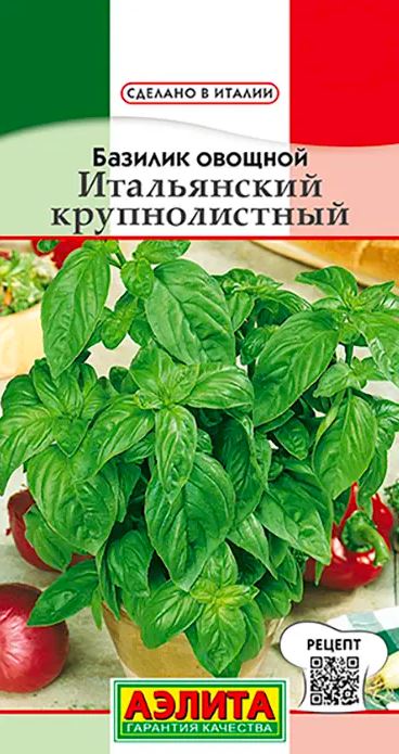 базилик италия2