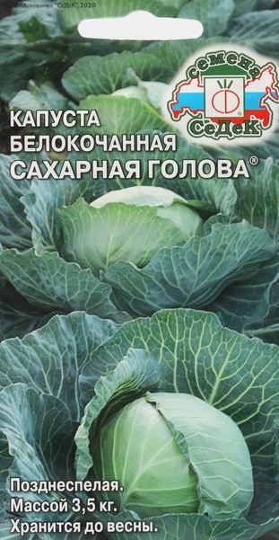 голова2