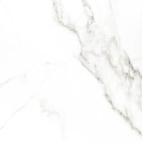 На фото изображено Carrara Premium white PG 01 600*600***