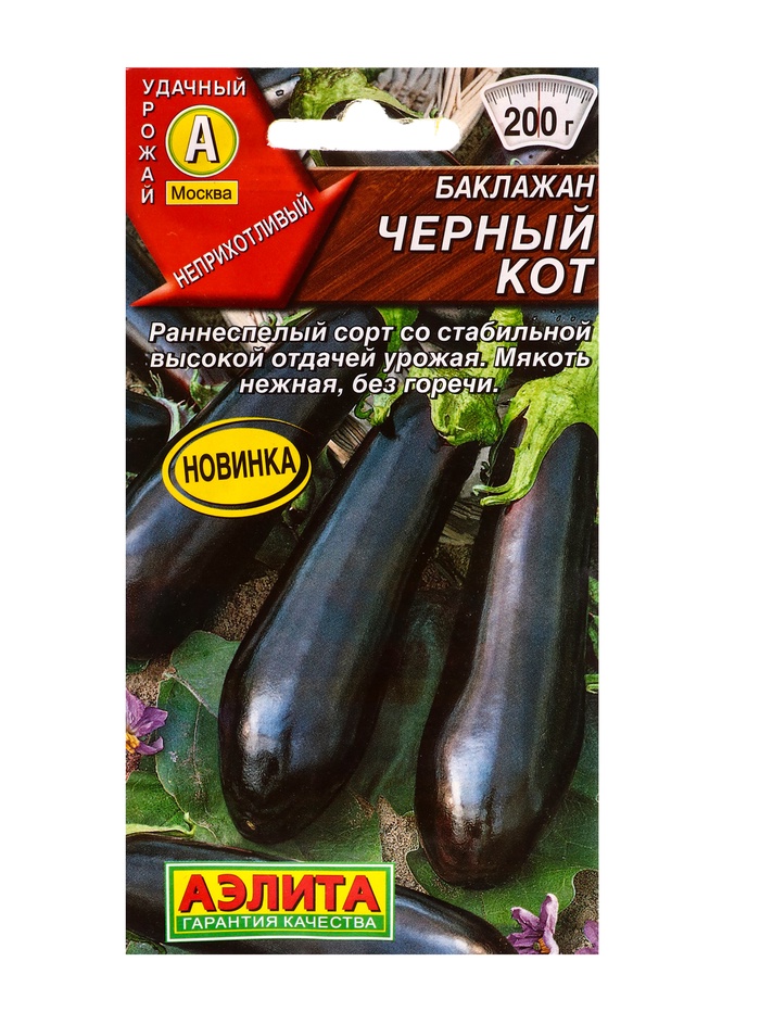 баклажан