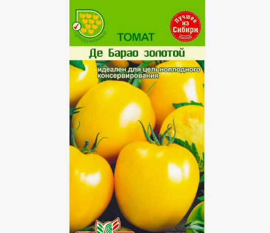 Снимок