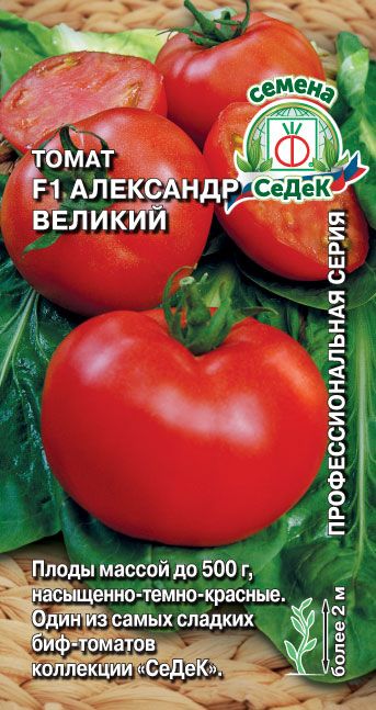 томат