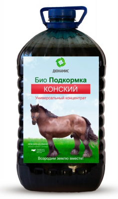 конь