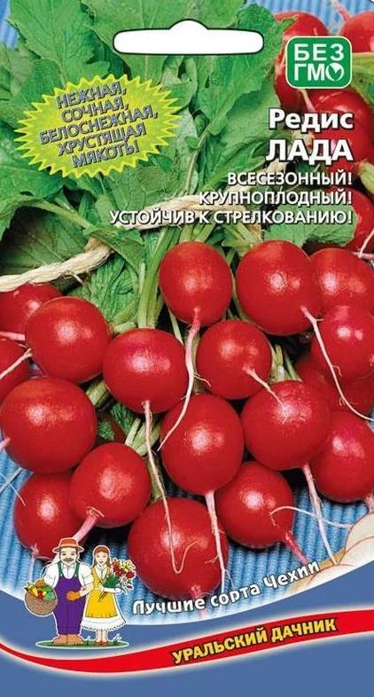 Снимок