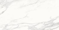На фото изображено Calacatta Superb Керамогранит белый 60x120 полированный