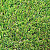 Искусственная трава Grass MIX/Грасс МИКС30 (2м) Цена за кв.м.