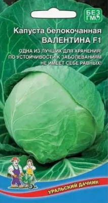 Снимок