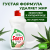 ru_pim_531934001001_03