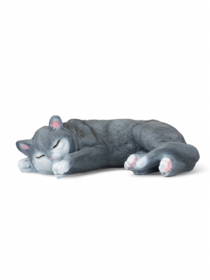 кот