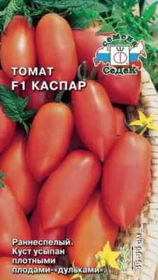 каспар2