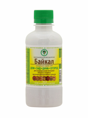 байкал