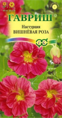 nasturciya-vishnevaya-roza-gavrish